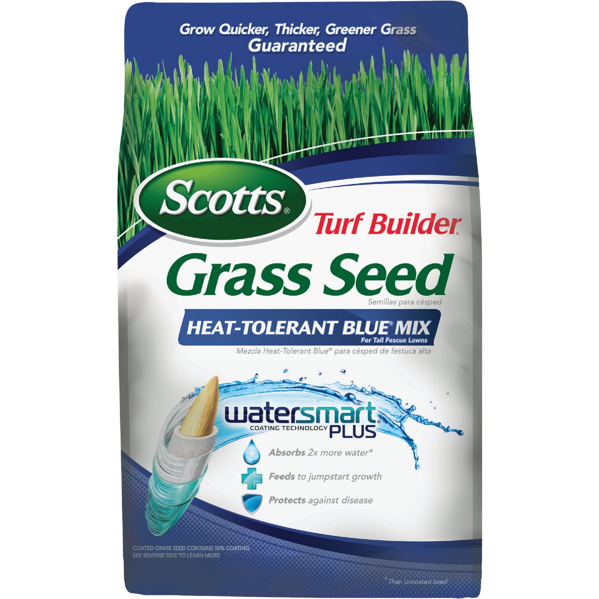 10LB H.T. BLUEGRASS SEED