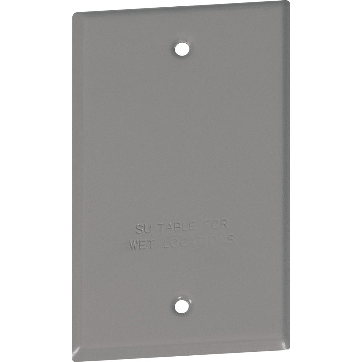 Southwire Single Gang Gray Weatherproof Blank Cover