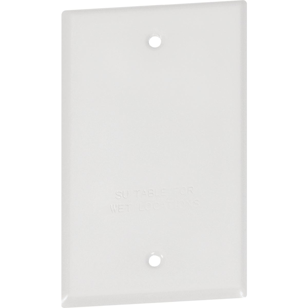 Southwire Single Gang White Weatherproof Blank Cover
