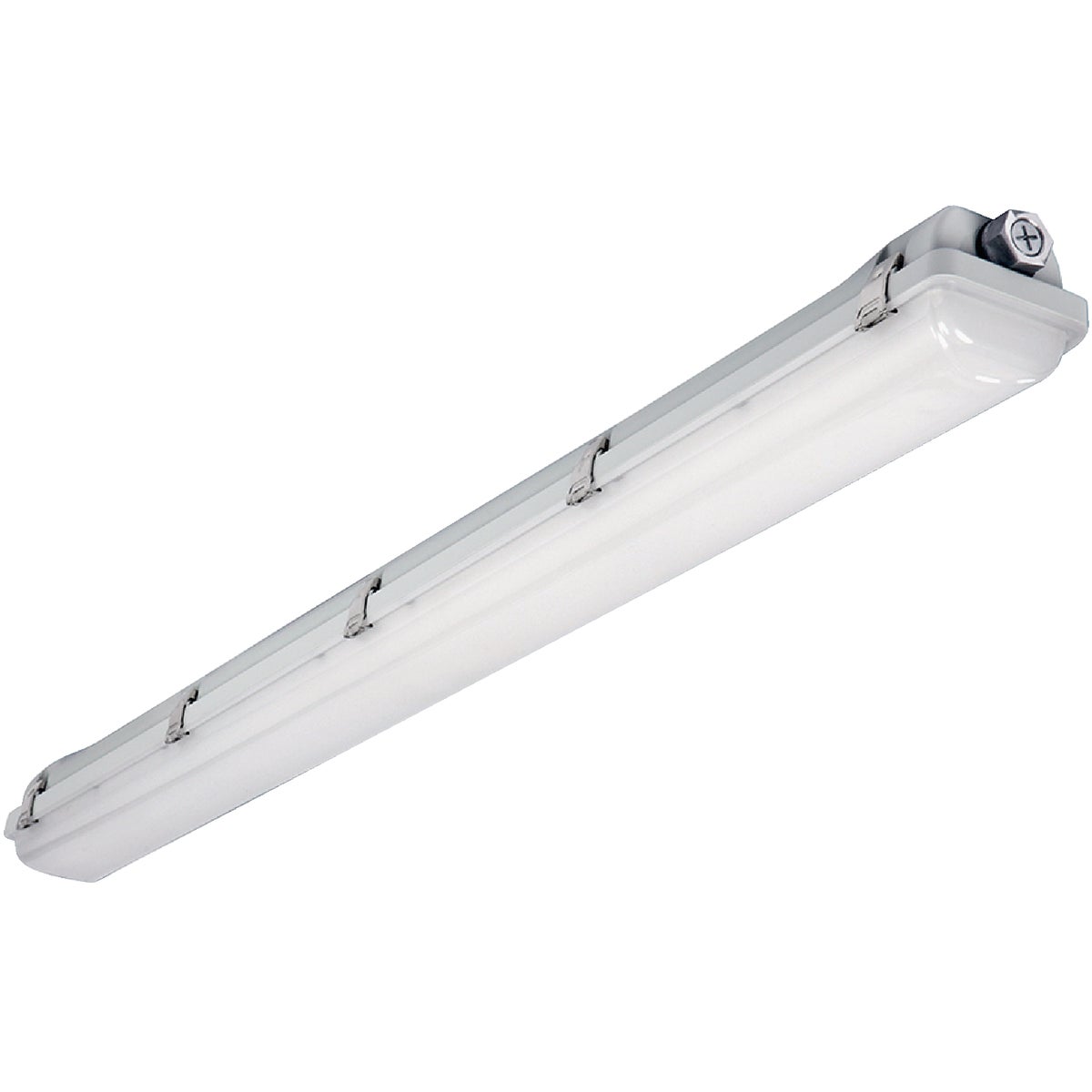 4' SLCTBL VPRTITE LIGHT