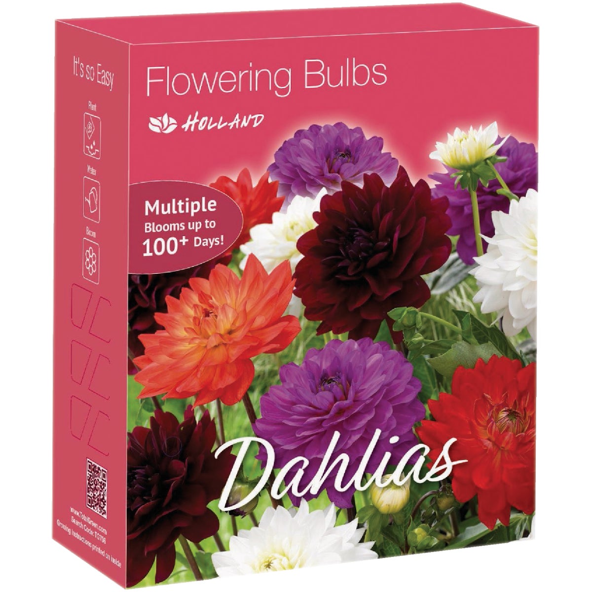 TotalGreen Holland Flower Bulbs & Perennials Display
