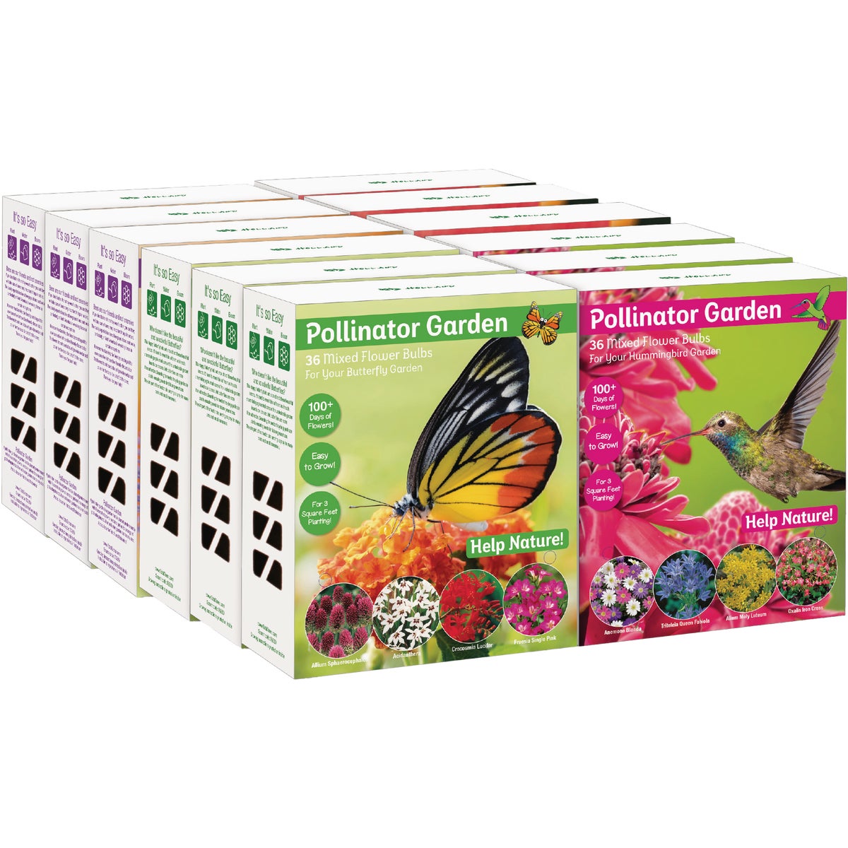 TotalGreen Holland Pollinator Bulb Collection
