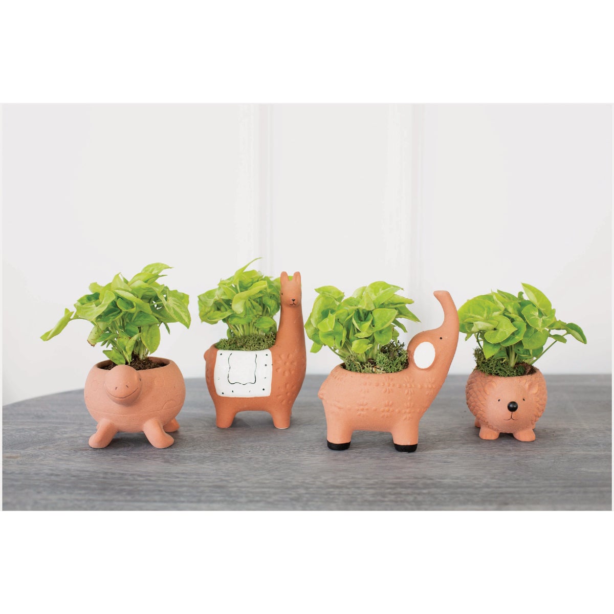 Syndicate Home & Garden Terracotta Animal Planter Assortment