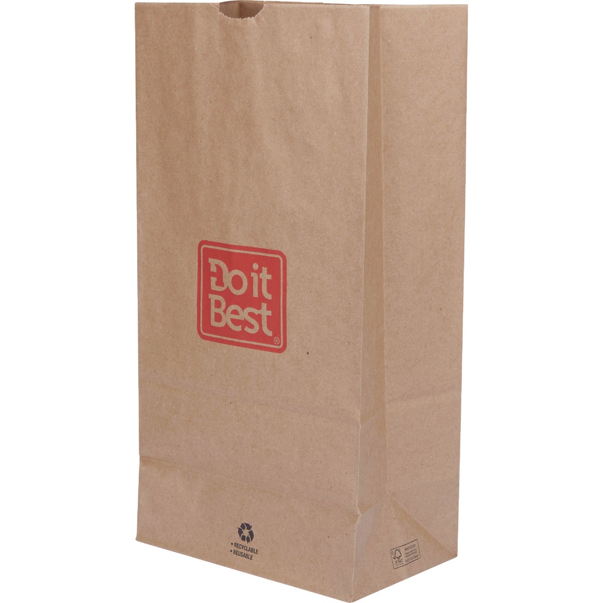 Do it Best 20 Lb. Capacity Paper Shopping Bag (400-Pack)