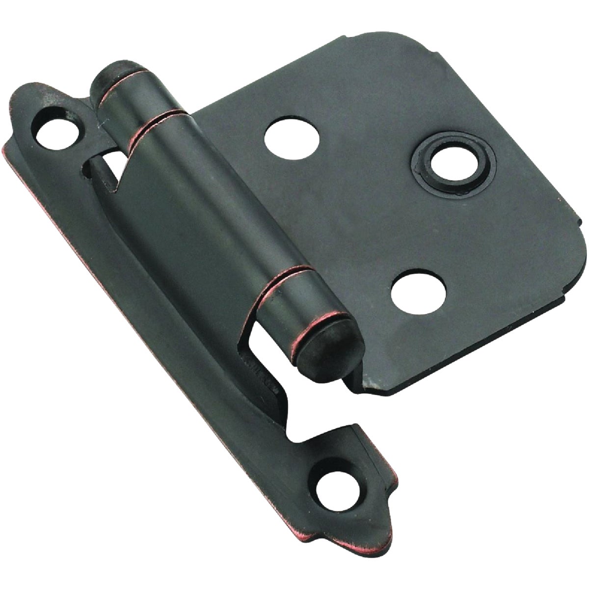 10PK ORB VAR OVRLY HINGE