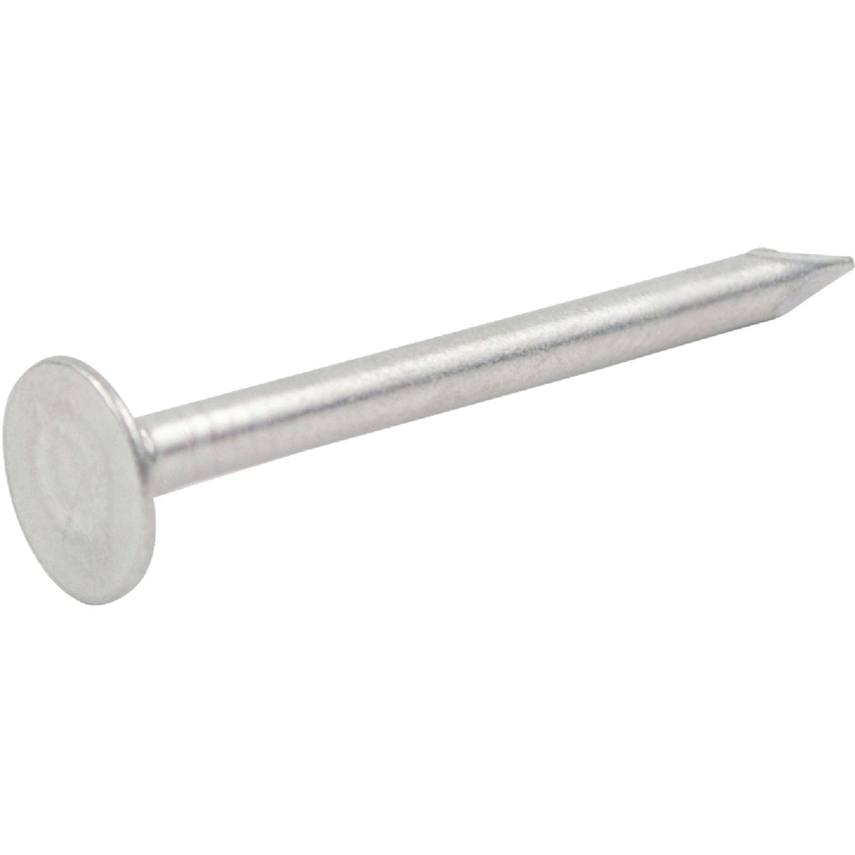 1-1/2" SIDING NAIL