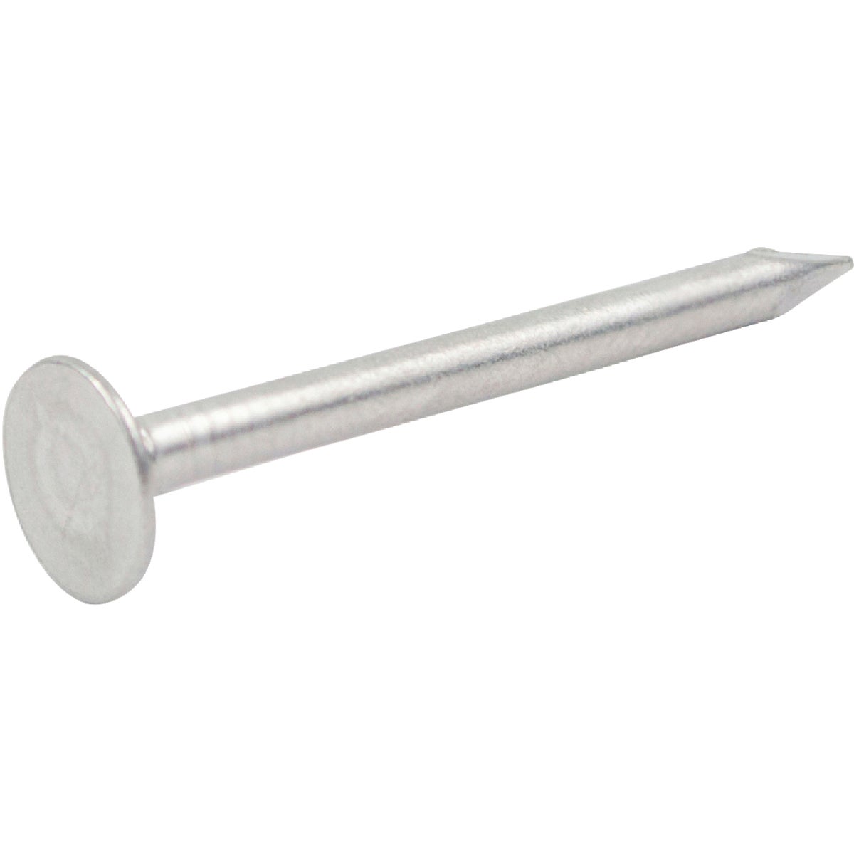 1-1/4" SIDING NAIL