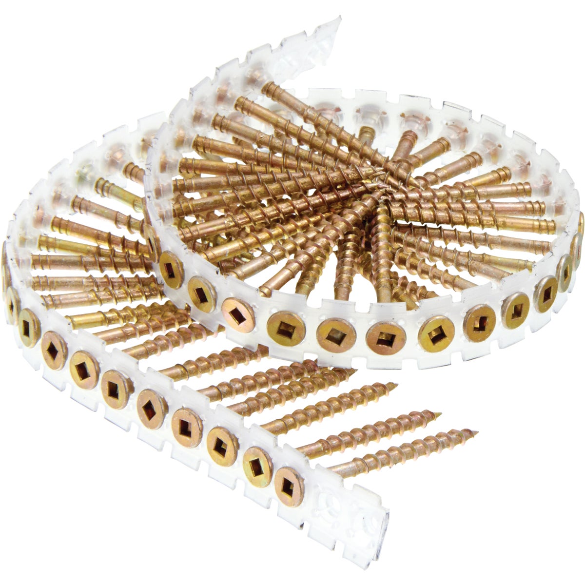 Collated Wood Screws