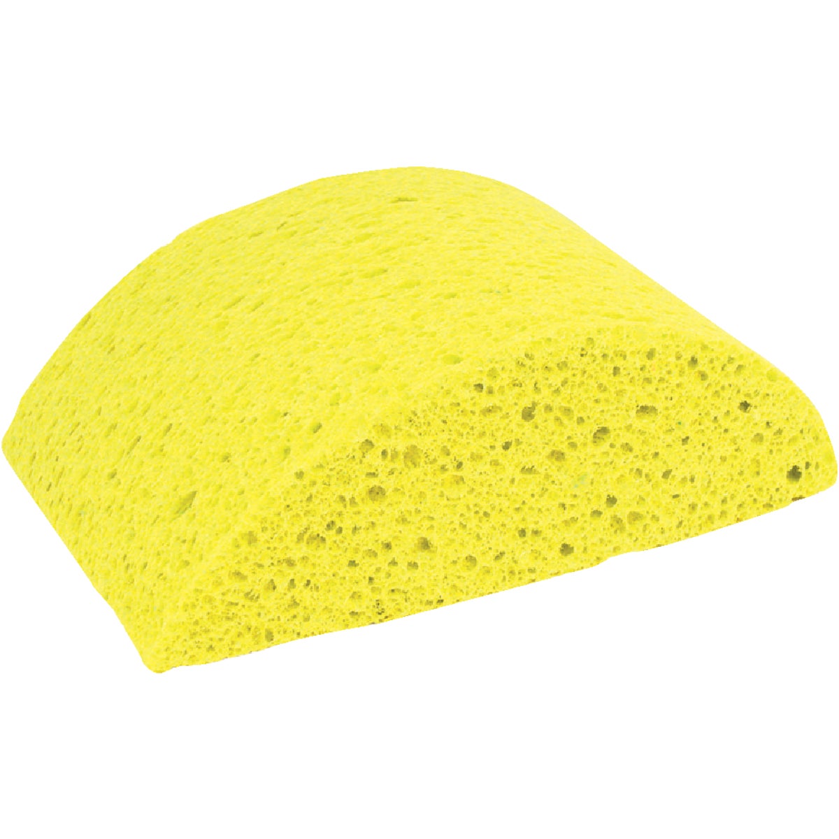 TURTLEBACK SPONGE