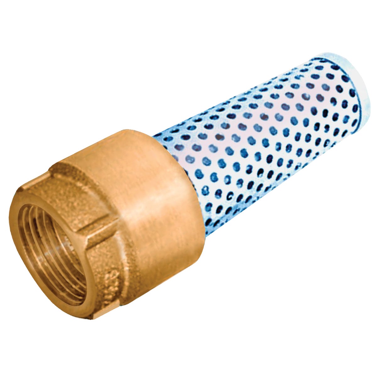 3/4" LF FOOT VALVE