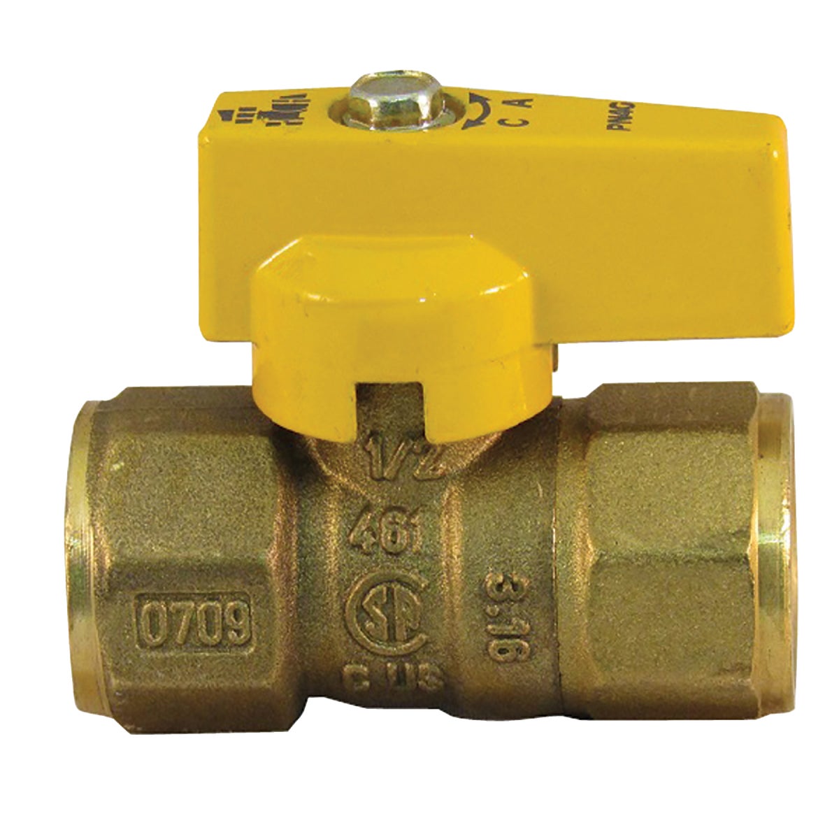 1/2" FIPXFIP GAS VALVE