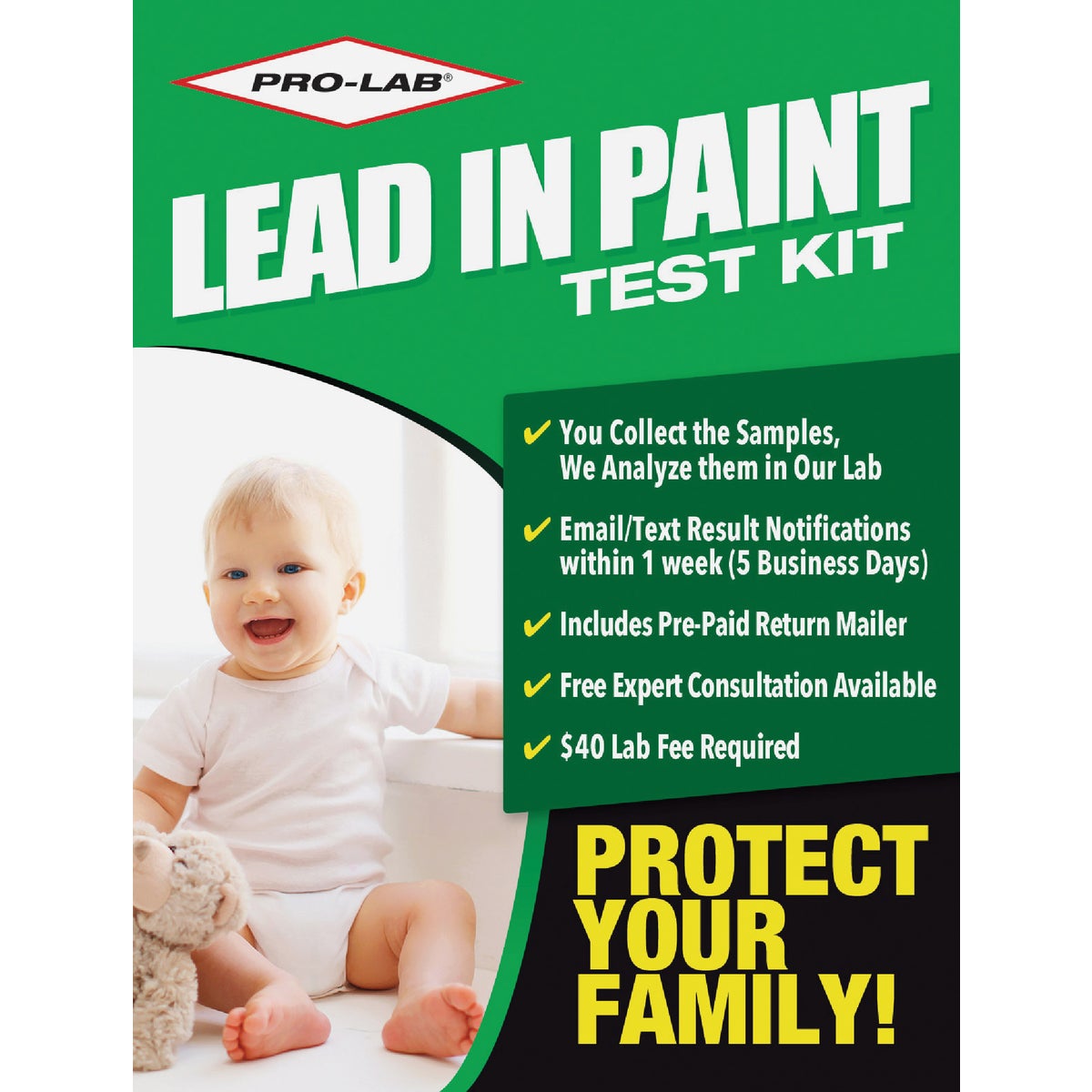 Lead Test Kit