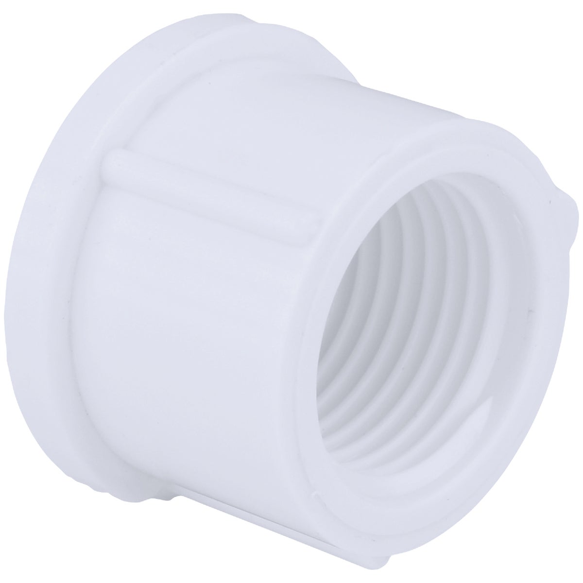 Charlotte Pipe 1 In. FIP Schedule 40 Threaded PVC Cap 439225