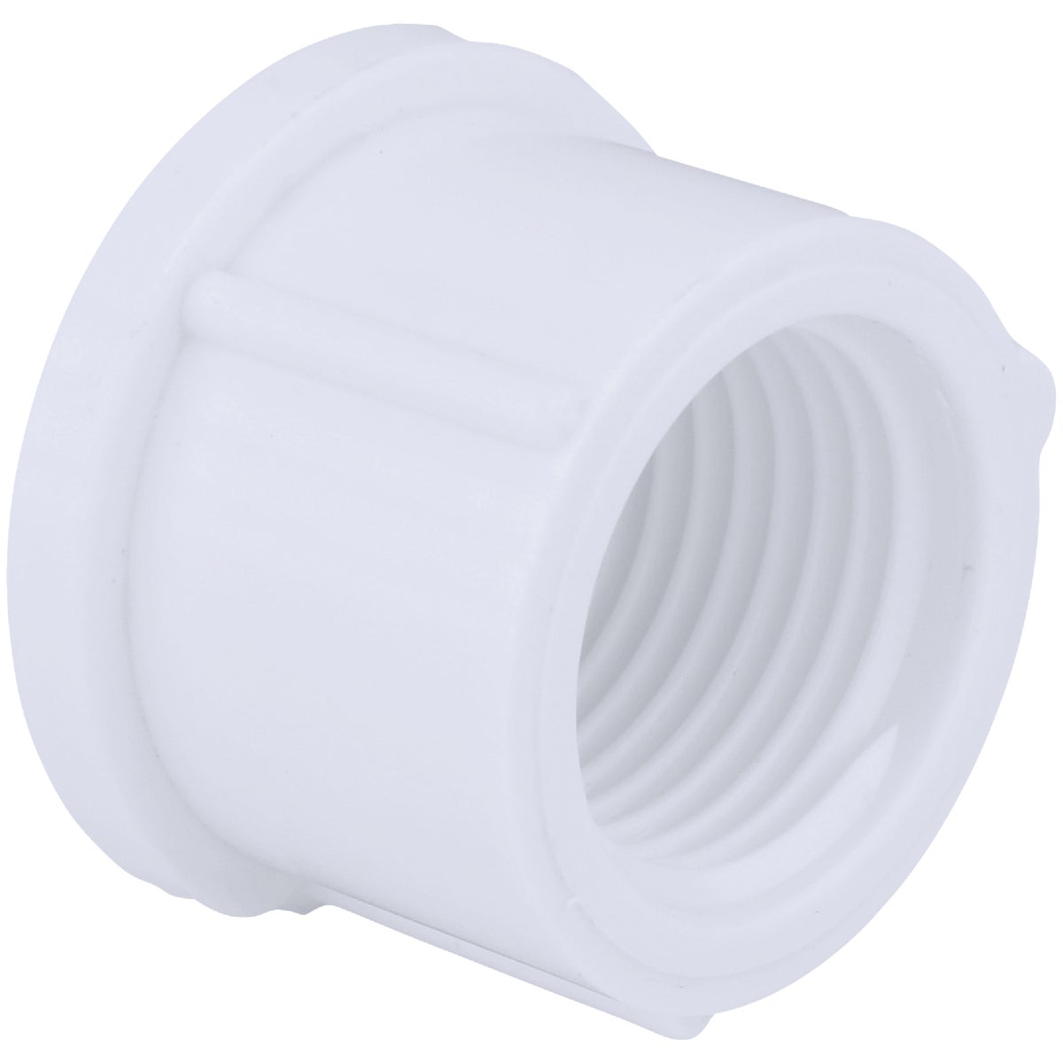 3" PVC SCH40 FIP CAP