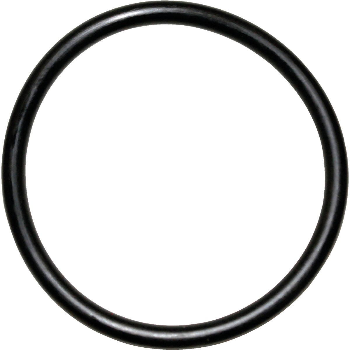 #25 O-RING