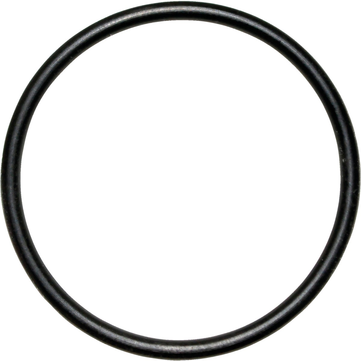 #29 O-RING