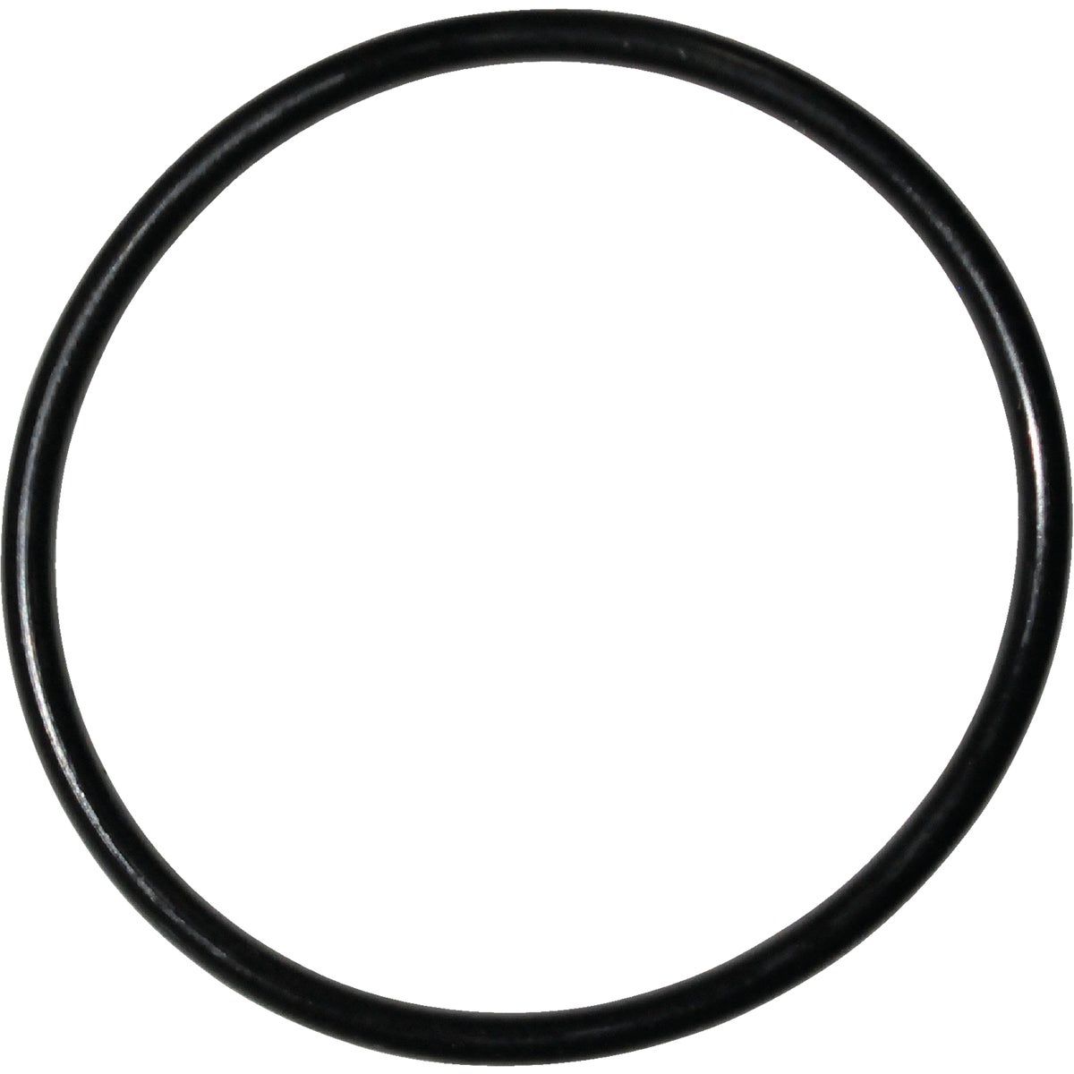 #55 O-RING