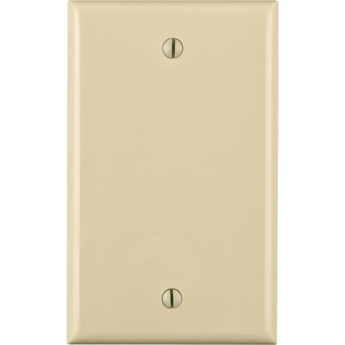 LTALM 1G BLANK NYL PLATE
