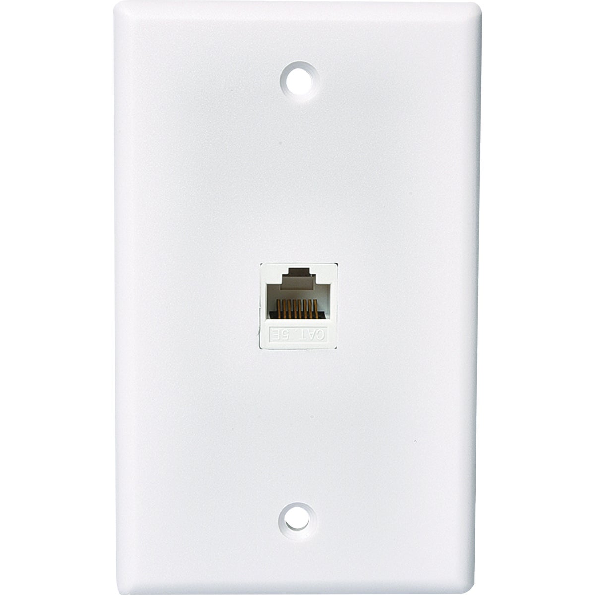 CAT 5E/6 DATA WALL PLATE