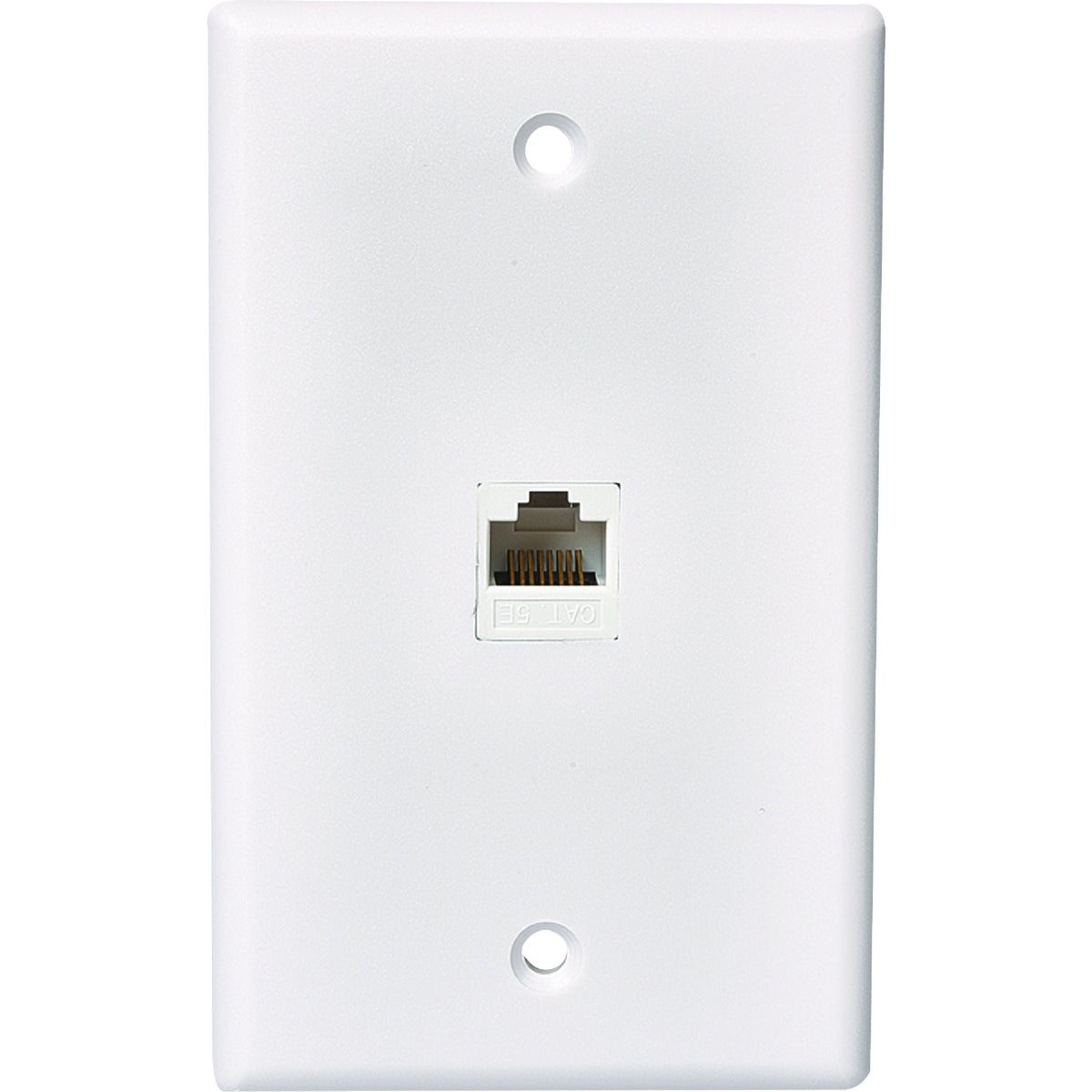 CAT 5E/6 DATA WALL PLATE