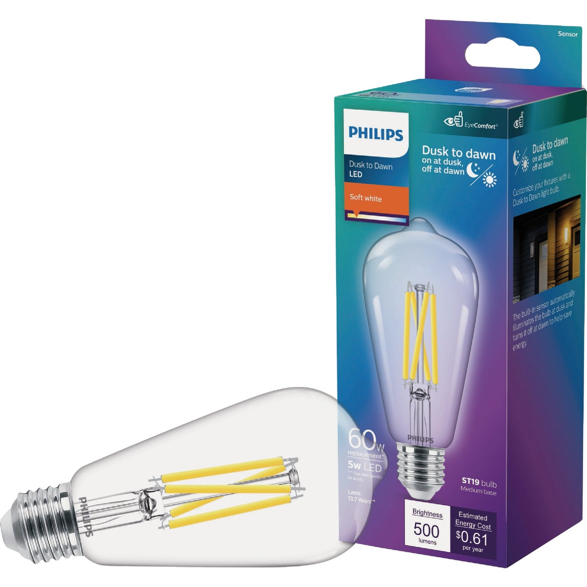 60W DSK2DWN ST19LED BULB