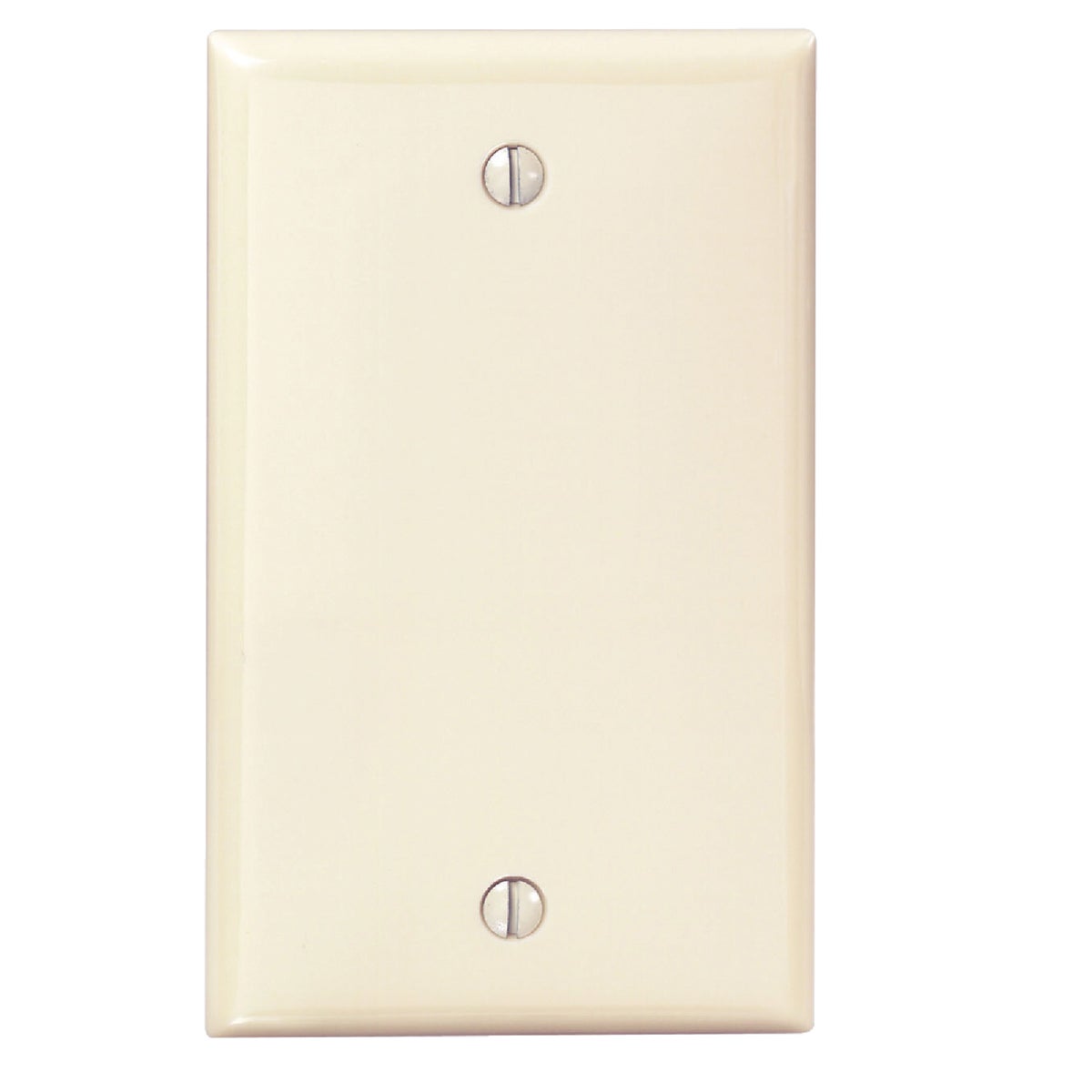 IV BLANK WALL PLATE
