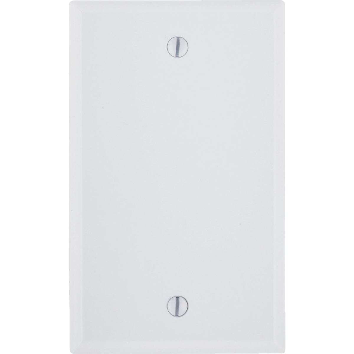 1GNG WHT BLANK WALLPLATE