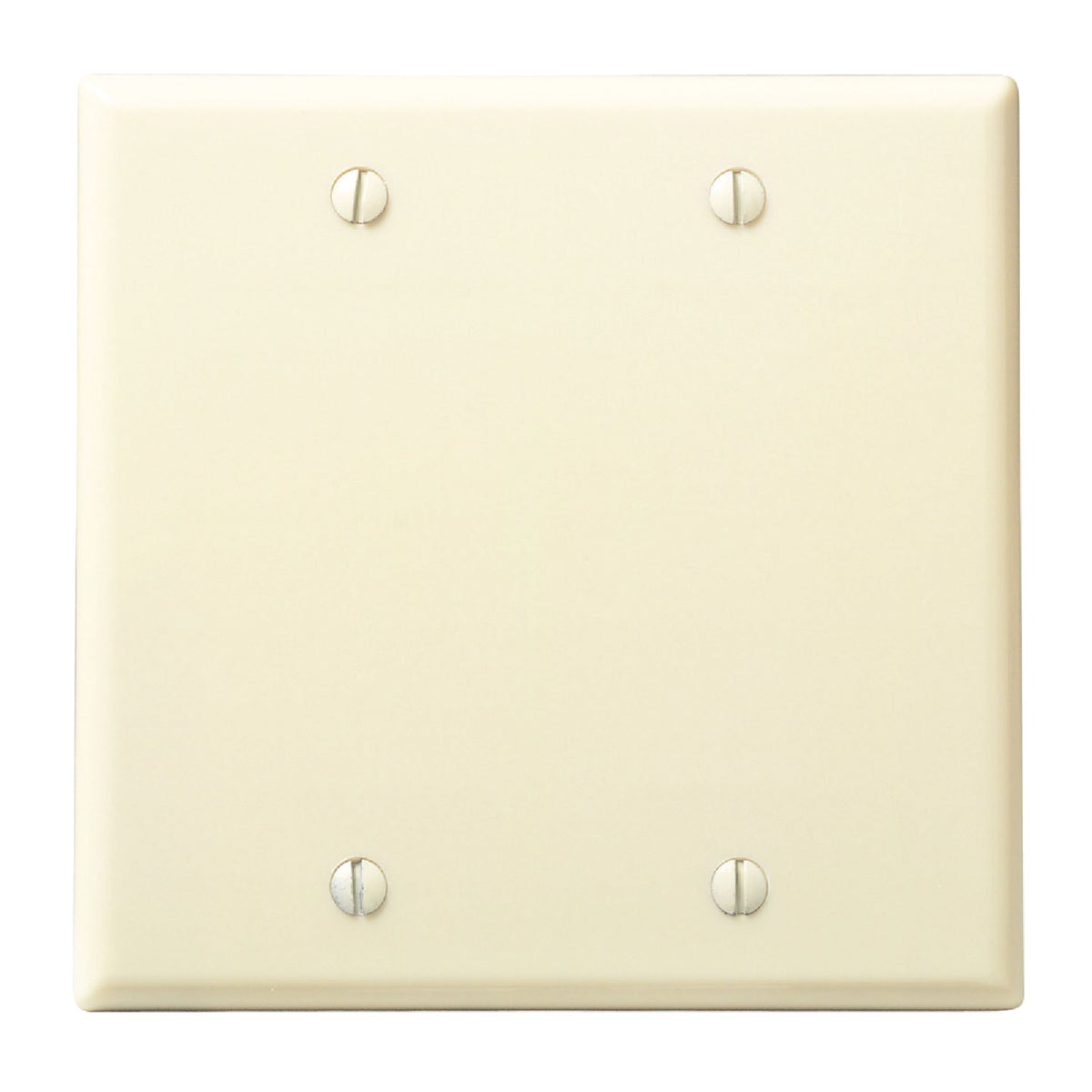 2GNG IV BLANK WALL PLATE