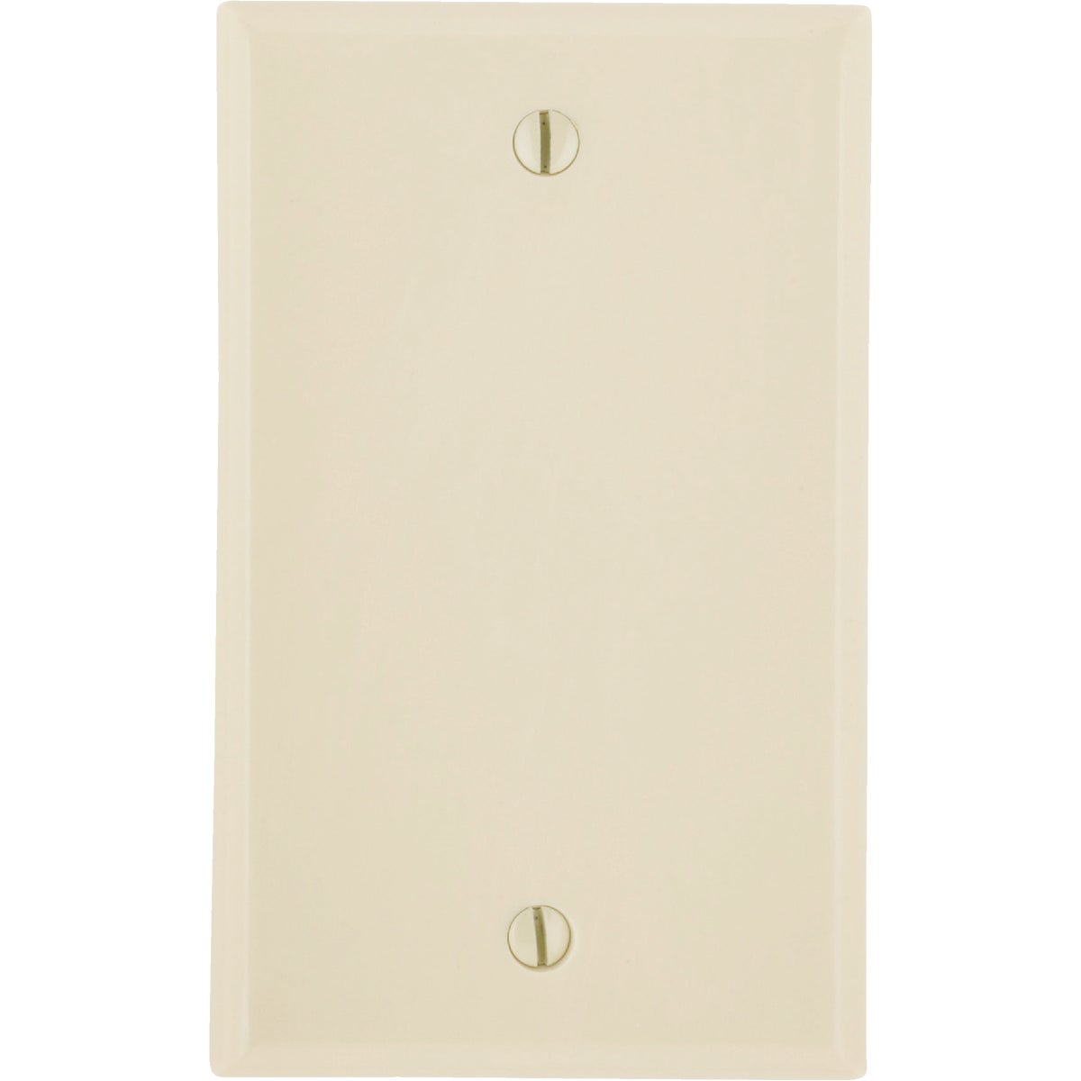 1GNG IV BLANK WALL PLATE
