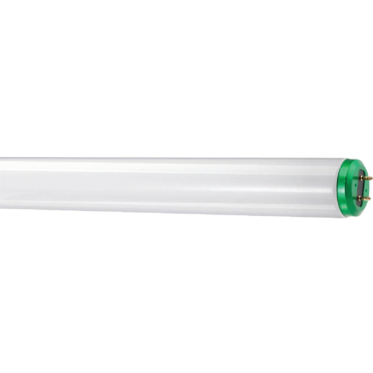 2PK 40W BWT12 FLUOR TUBE