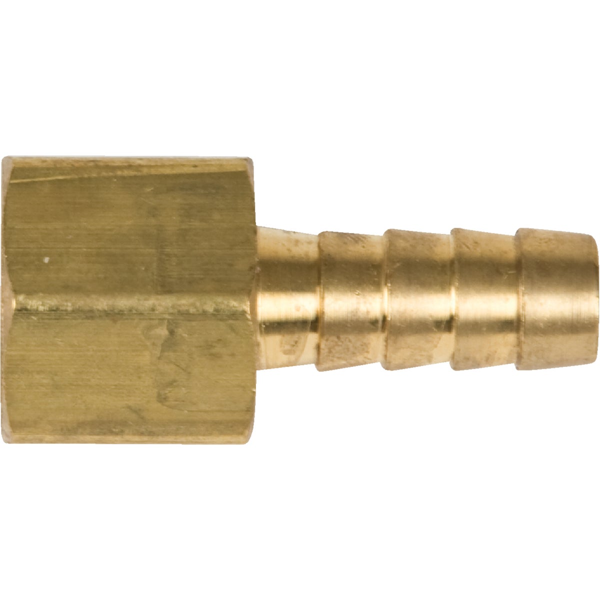 1/4" BRASS HOSE END FNPT