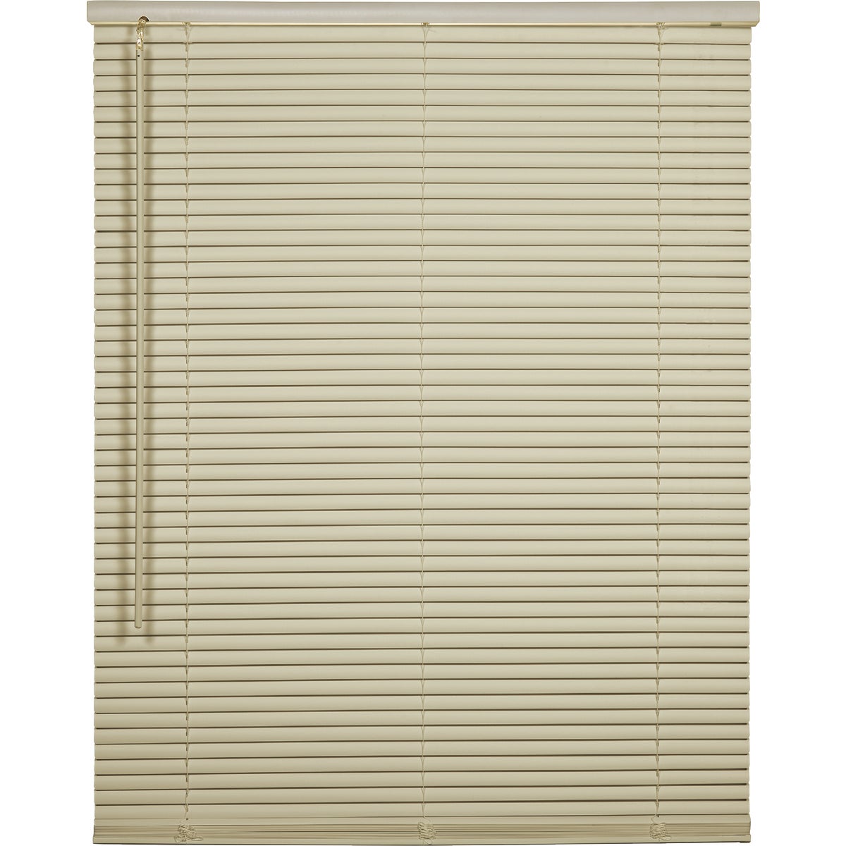 Home Impressions Light Filtering Cordless Mini Blind 603366