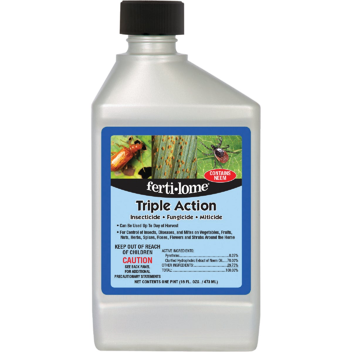 Disease & Fungus Control