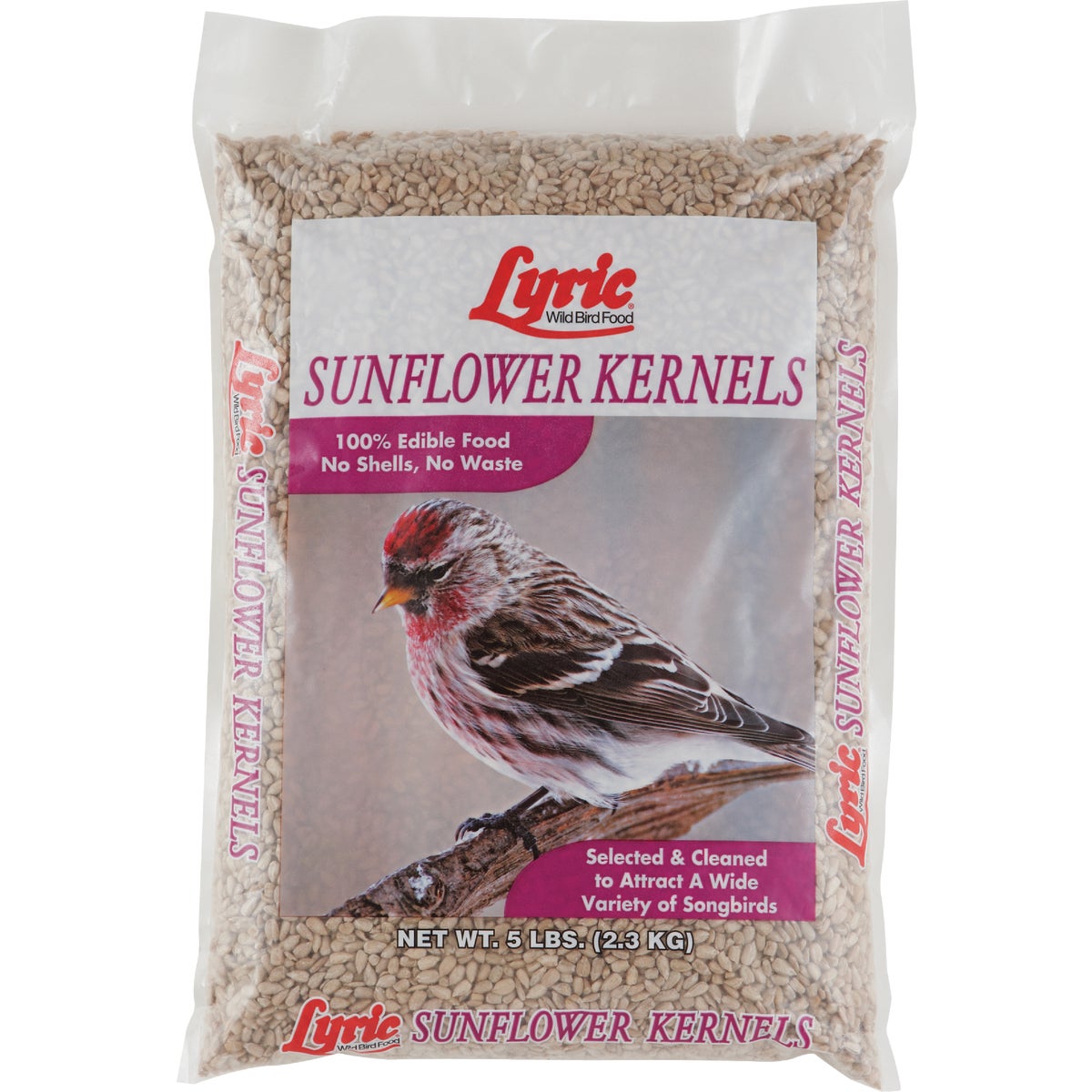5LB SUNFLOWER BIRD SEED