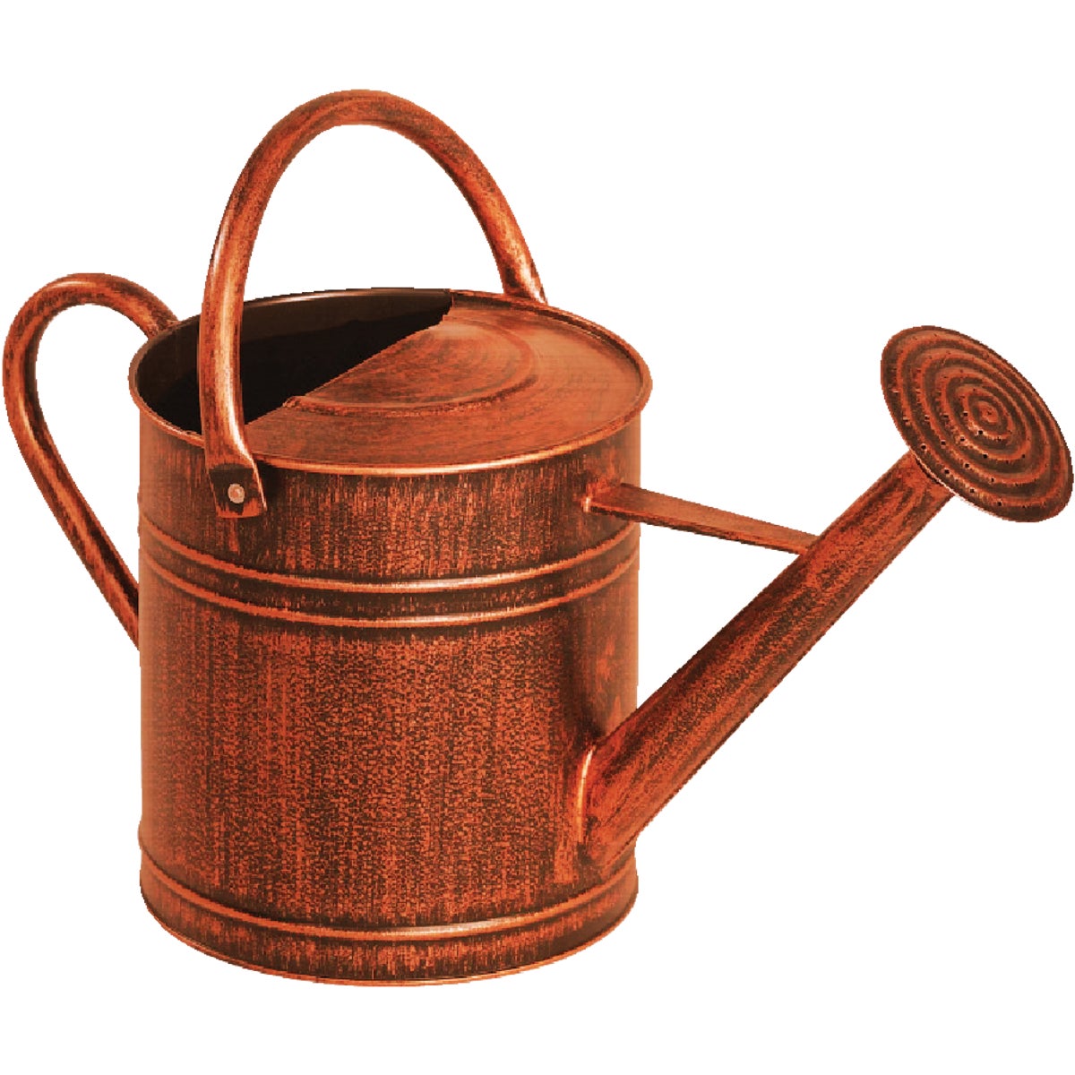 2G BRONZE WATERING CAN