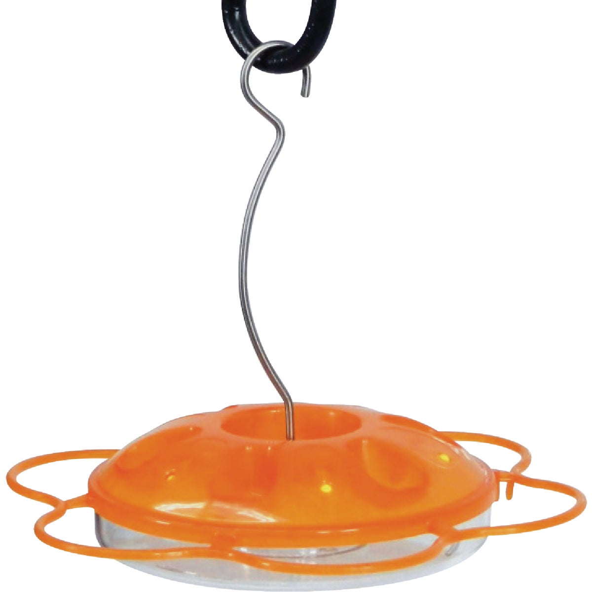 Bird Feeders & Accessories