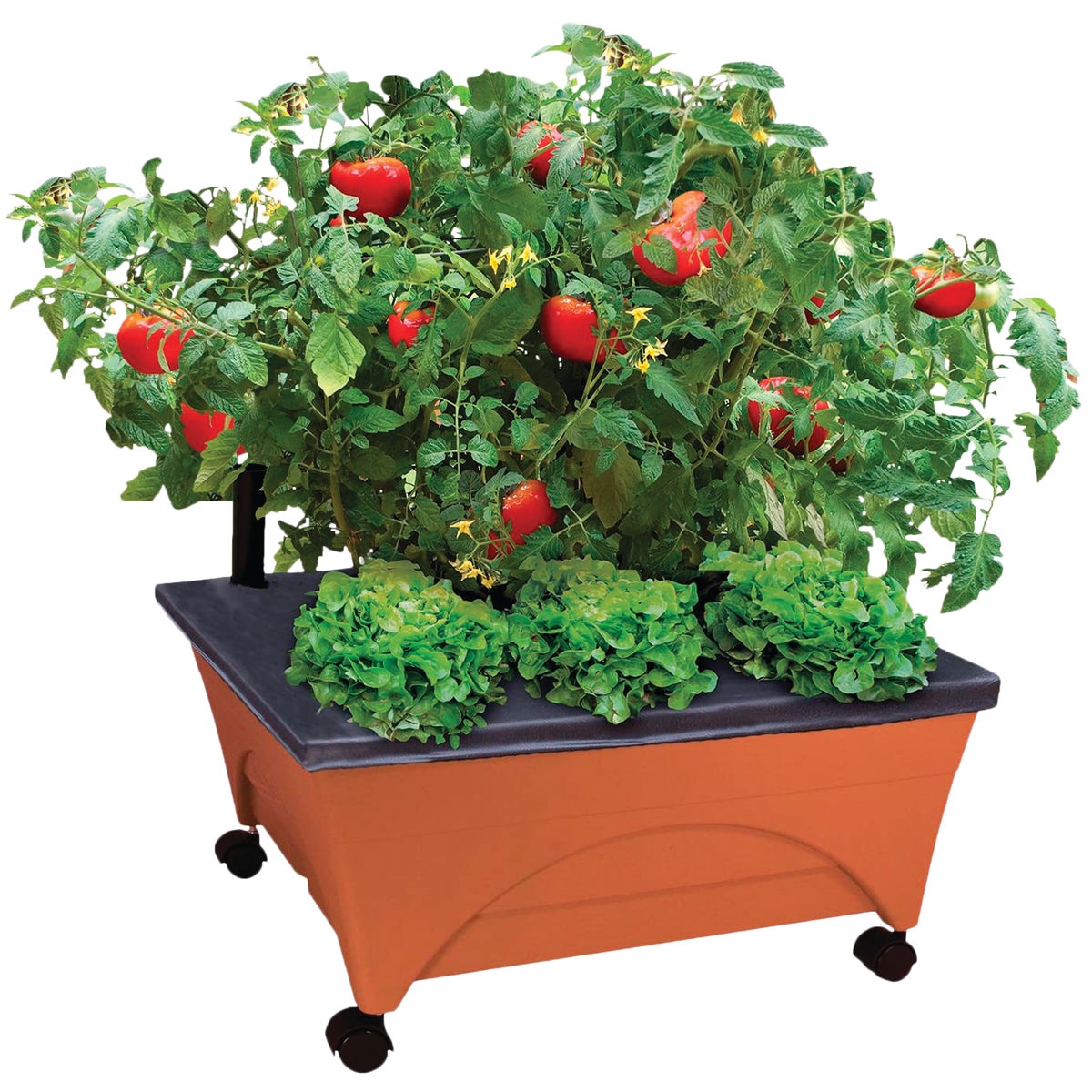 Garden System & Grow Boxes