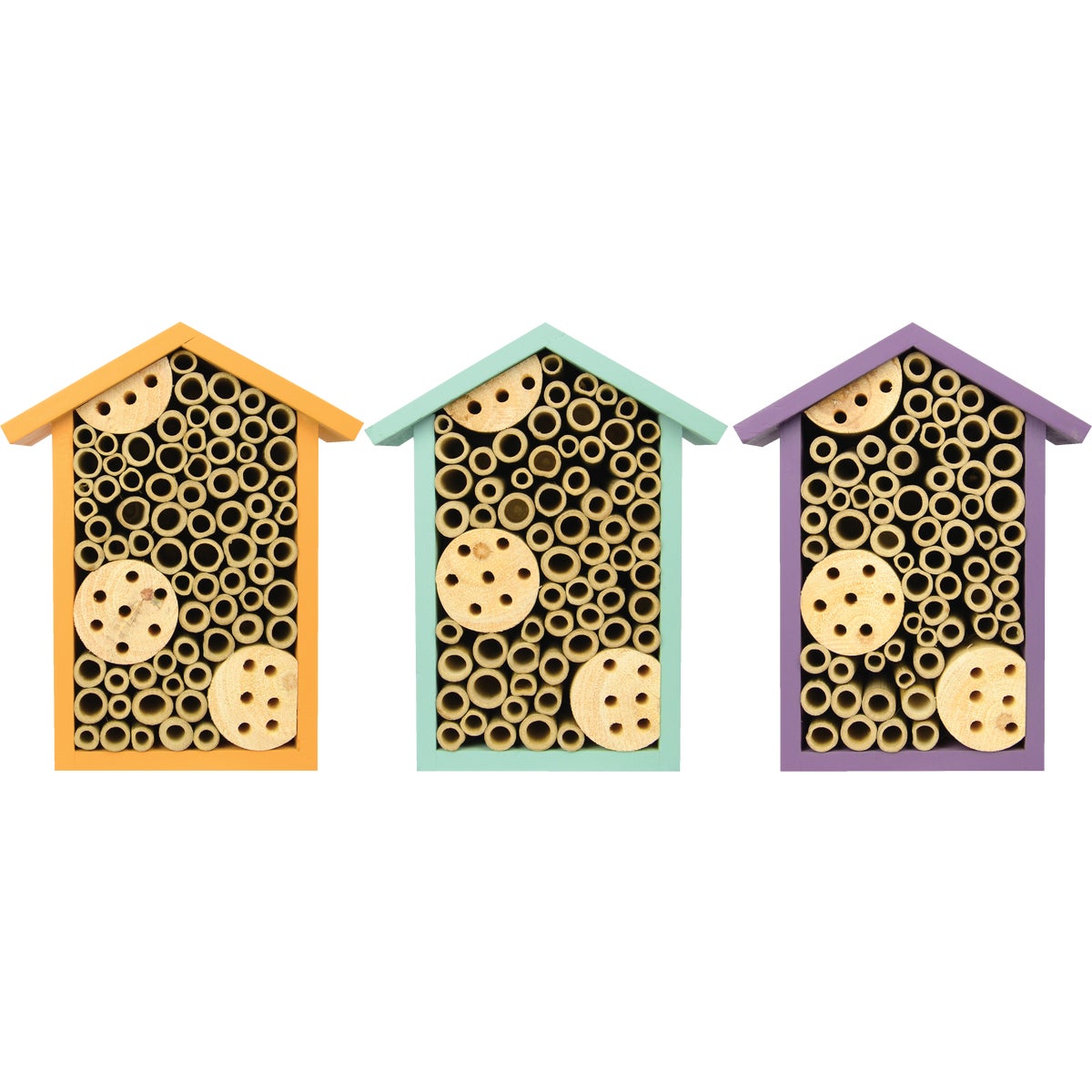 Insect House