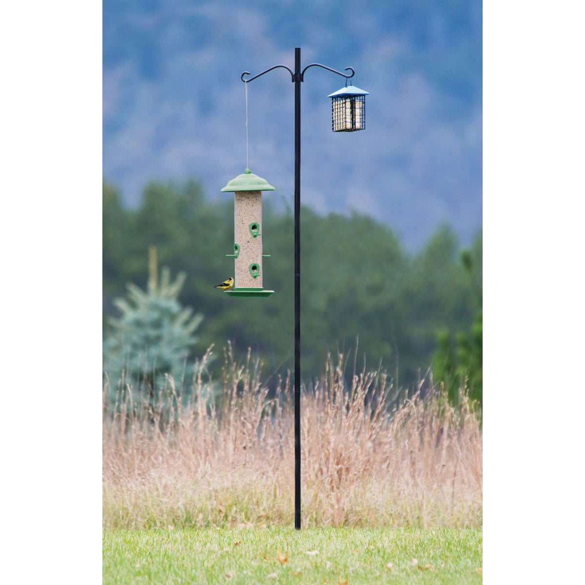 BIRD FEEDER POLE