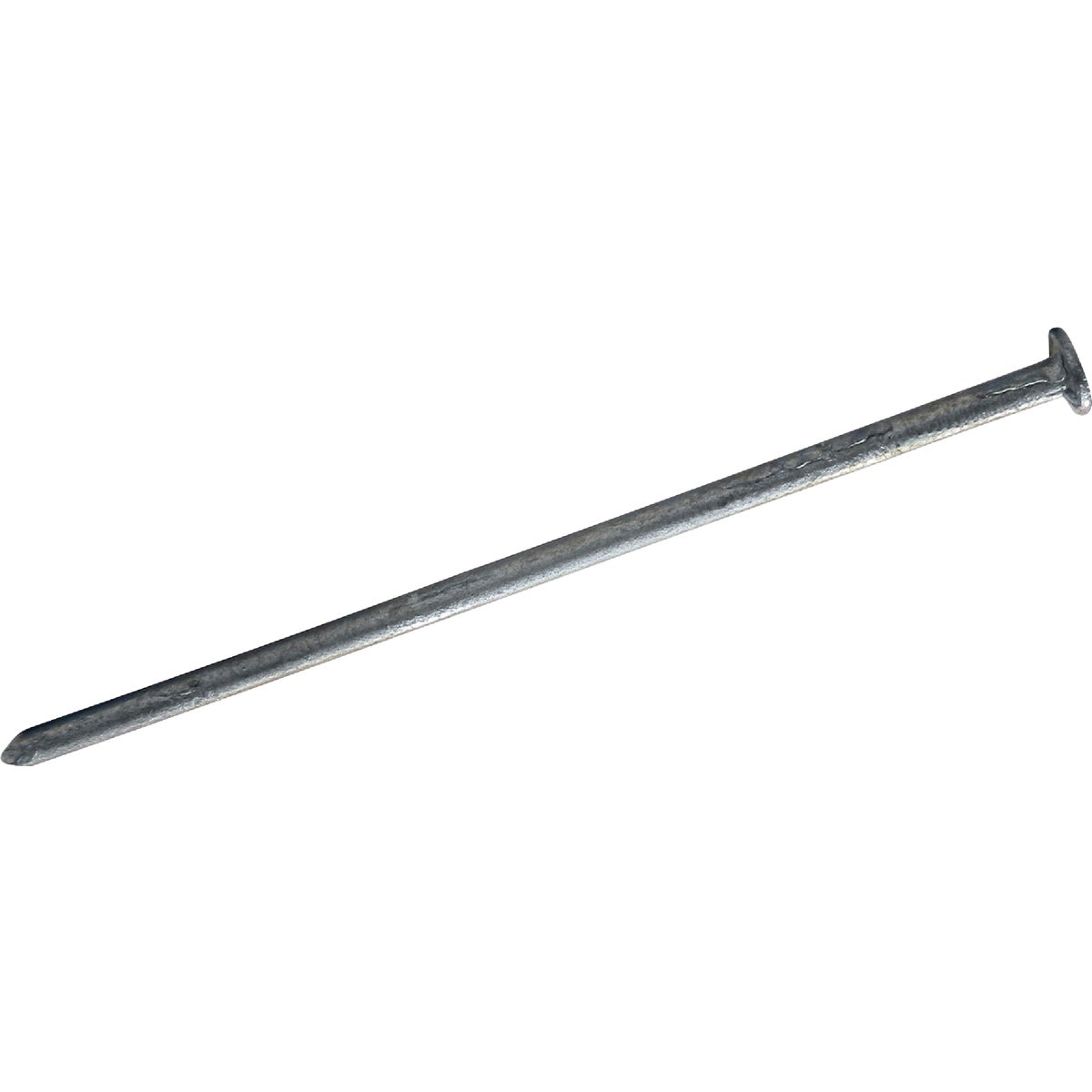 5LB 2-1/2" SIDING NAIL
