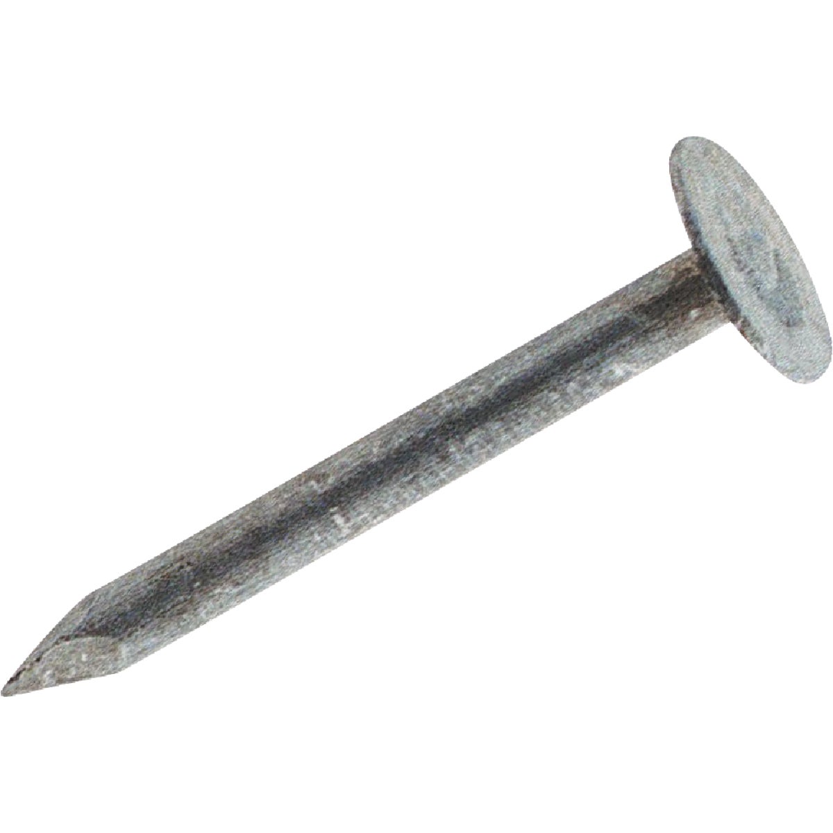 50LB 2-1/2" EG ROOF NAIL