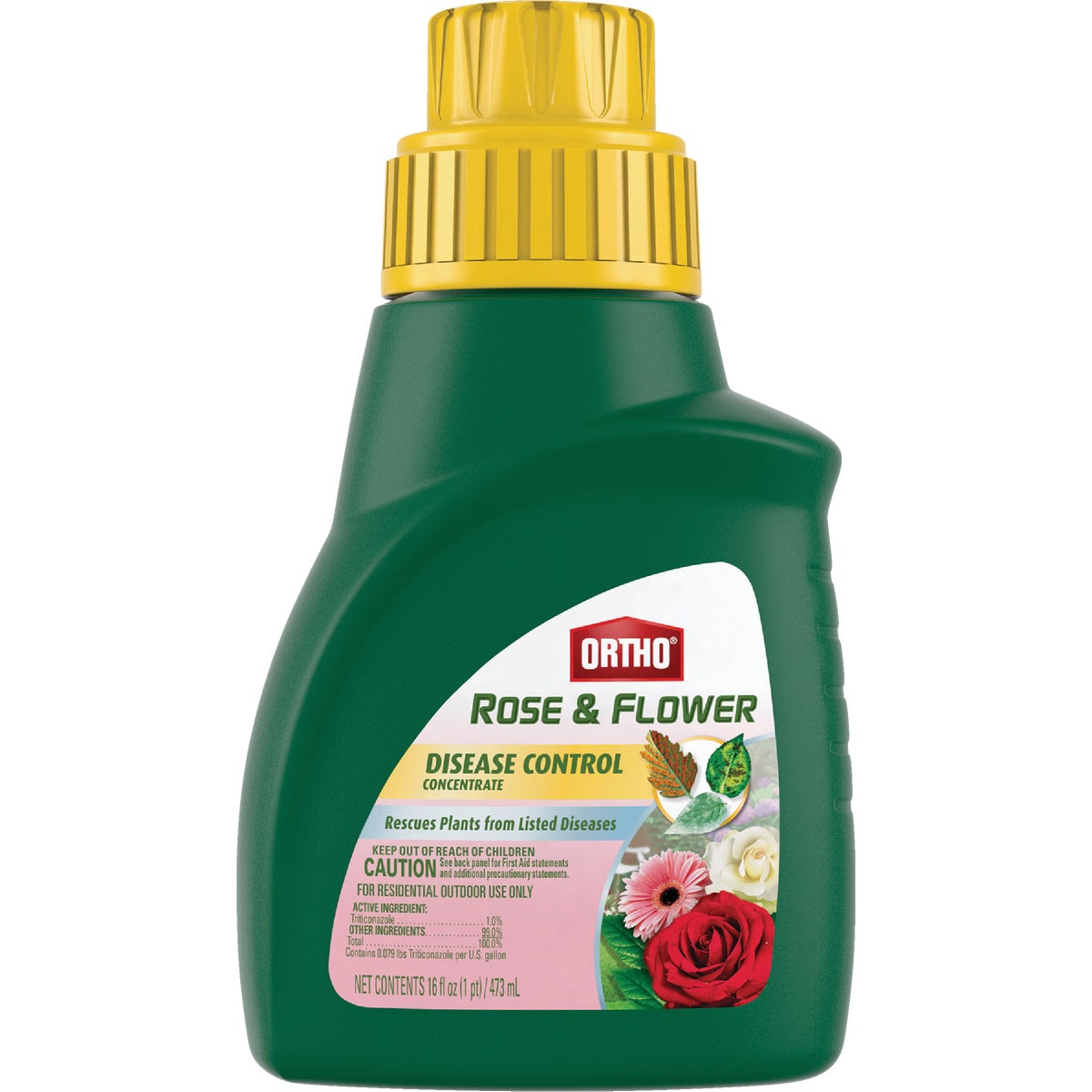 Rose Disease Control