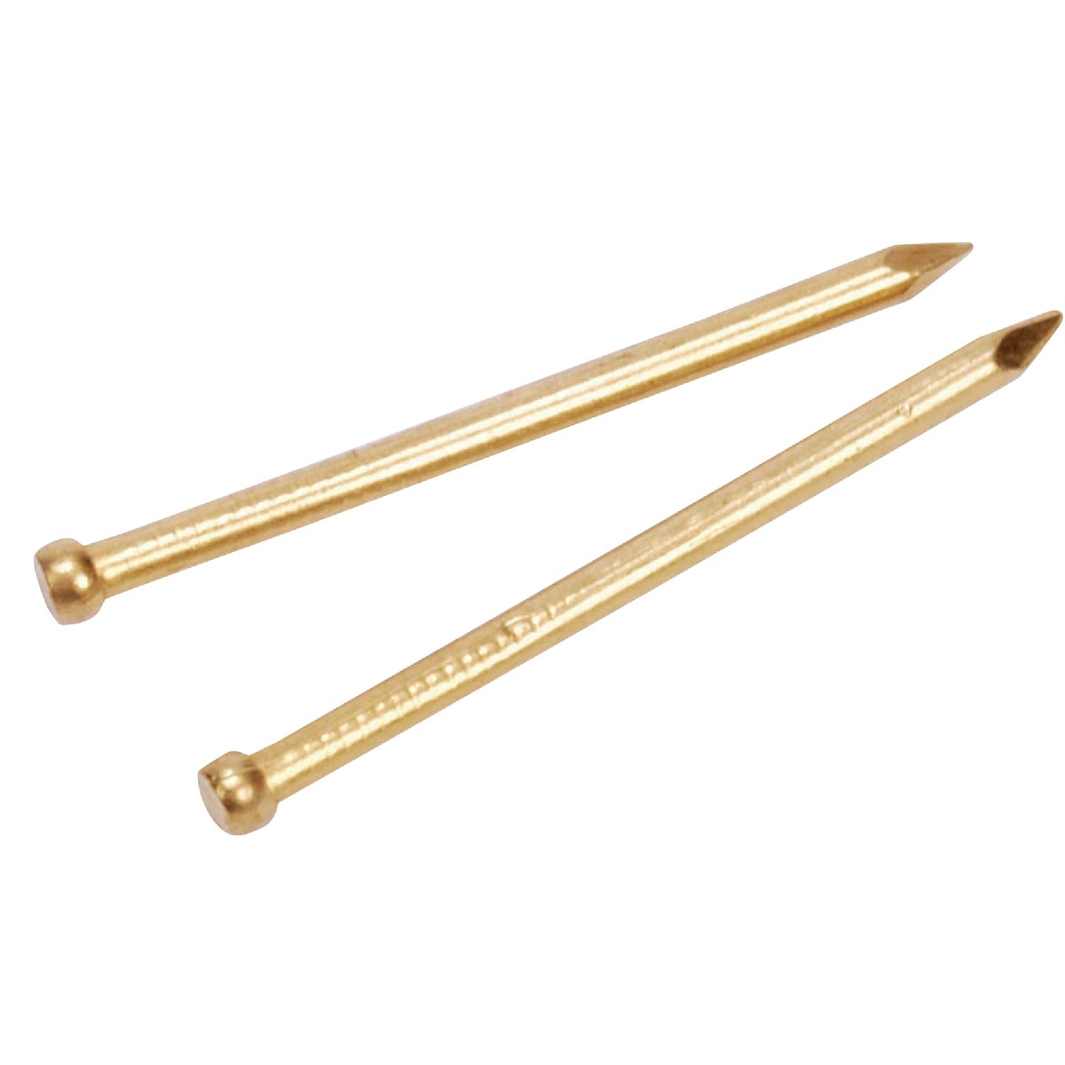 1-1/4X16 BRASS BRAD