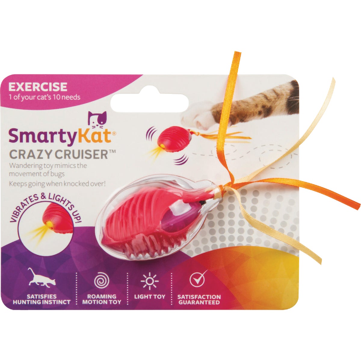 CRAZY CRUISER CAT TOY