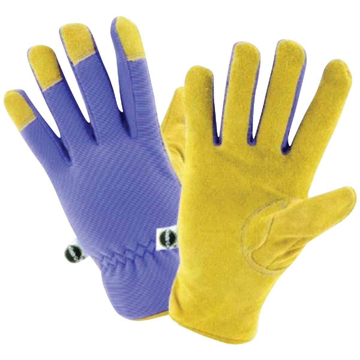 M/L WMN PRP PLYSTR GLOVE