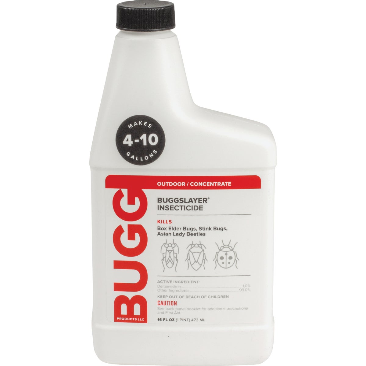 16OZ CONC INSECTICIDE