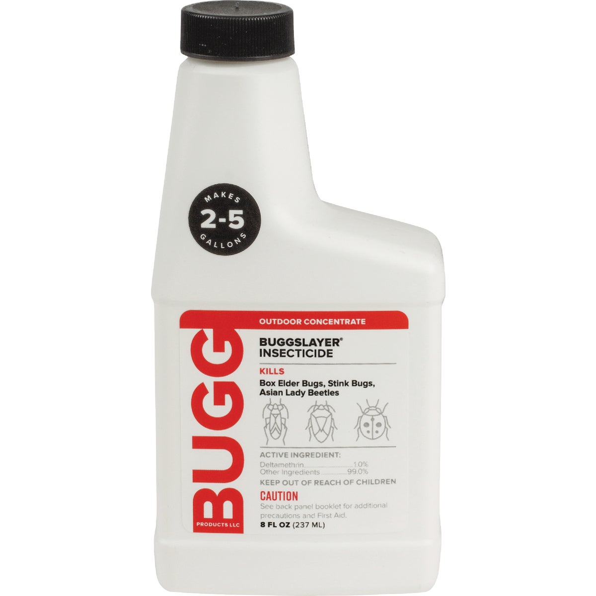 8OZ CONC INSECTICIDE