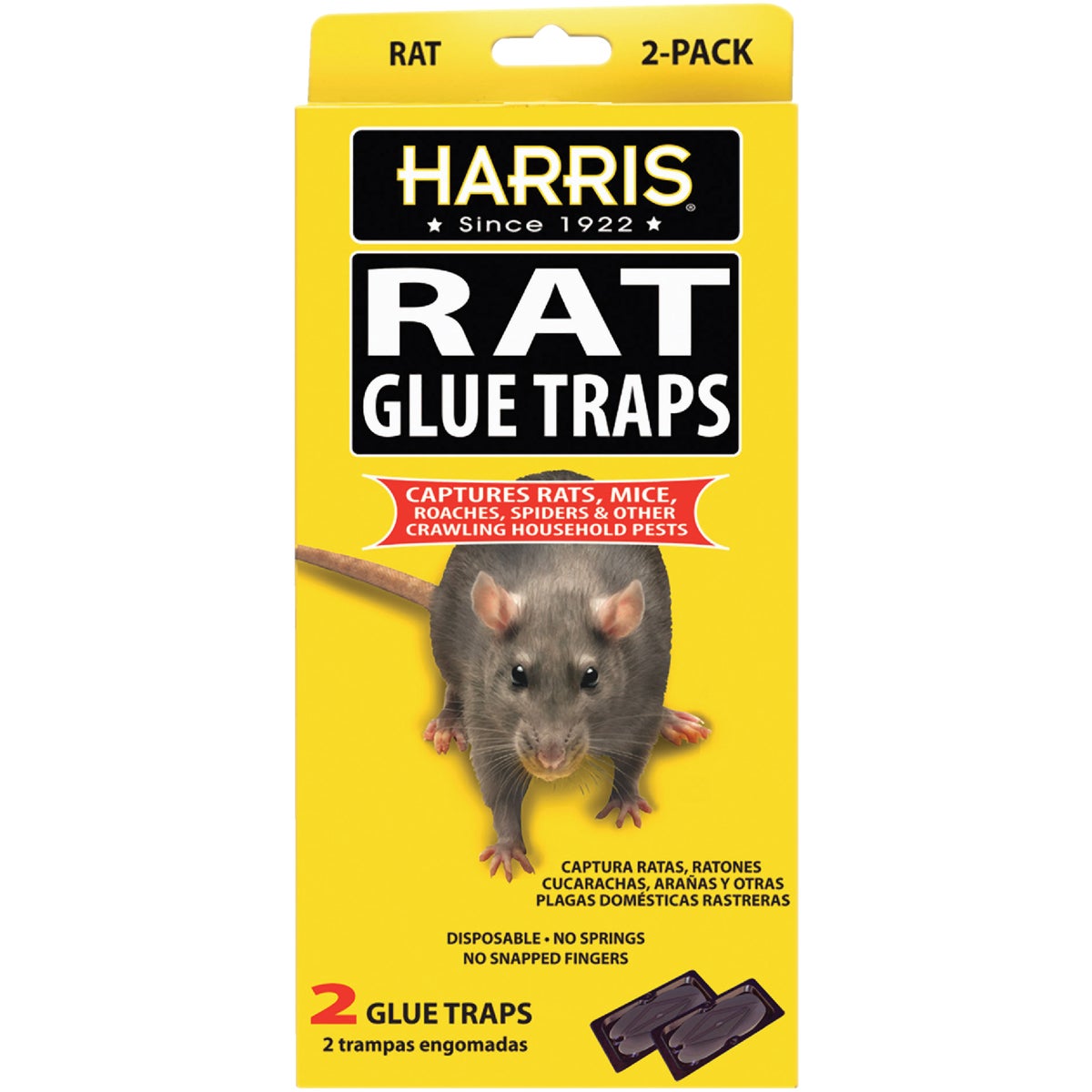 2PK RAT GLUE TRAP