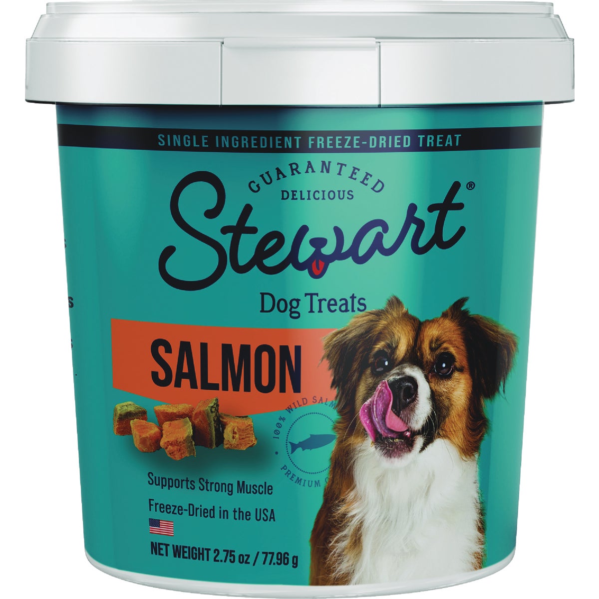 2.75OZTUB SLMN DOG TREAT