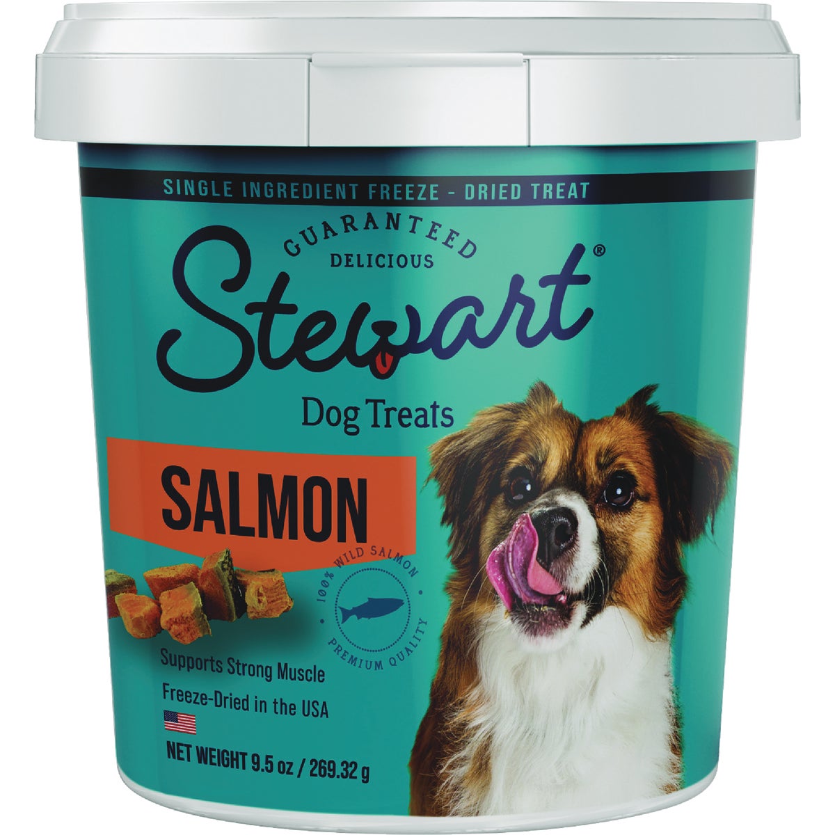 9.5OZ SLMN DOG TREAT